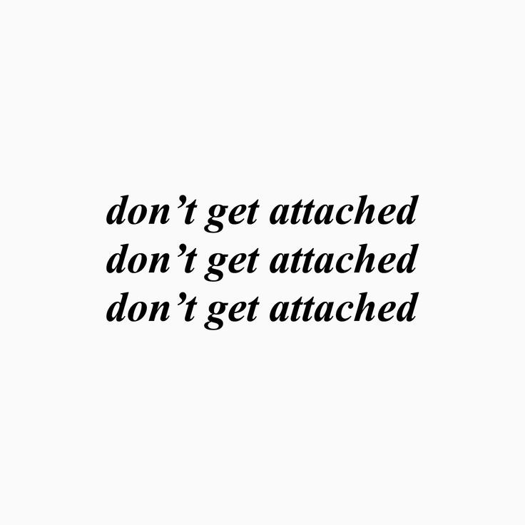 “Will smiled the way Lucifer might have smiled, moments before he fell from Heaven.”

tid.  |   shadowhunters rp  |  ducks are monsters  |  avid reader  |  has a dragon tattoo on a naughty place  |  #Insolent