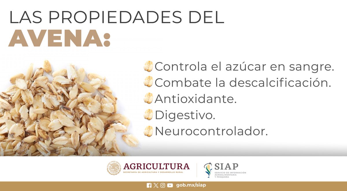 DGSIAP_Mx's tweet photo. En 2022, la superficie sembrada de #Avena grano en 𝗖𝗵𝗶𝗵𝘂𝗮𝗵𝘂𝗮 𝗳𝘂𝗲 𝗱𝗲 𝟮𝟴,𝟳𝟳𝟵 hectáreas.
#Agricultura
#Alimentosaludable
#Felizlunes https://t.co/AIsCAxGCN9