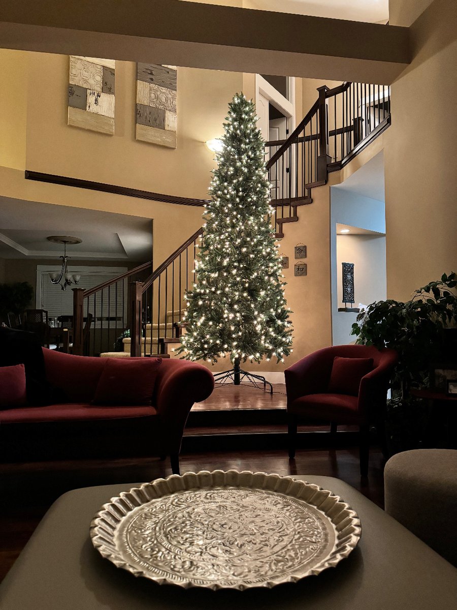 DataGuyAI's tweet image. Ok I know it’s early but I prefer Christmas to just dreary winter. Plus we decorate a LOT so like to have it up for a while to make it worth it.   When do you start decorating at your house?