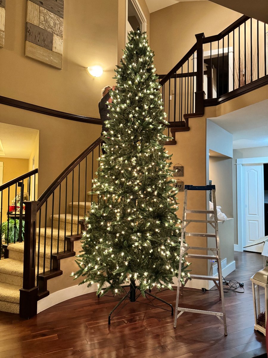 DataGuyAI's tweet image. Ok I know it’s early but I prefer Christmas to just dreary winter. Plus we decorate a LOT so like to have it up for a while to make it worth it.   When do you start decorating at your house?