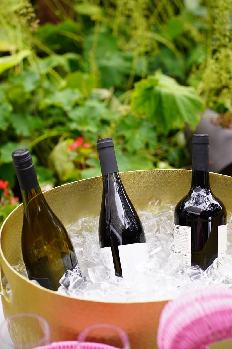 this chilly fall weather may feel like we’re up in the mountains, so let’s drink like it! 🏔️🍷✨

this Wednesday, guest sommelier Zdravko Solenkov is taking over our garden for a special #WinesdaysintheGarden tasting… high altitude wines edition! resy.com/cities/arl/ven…