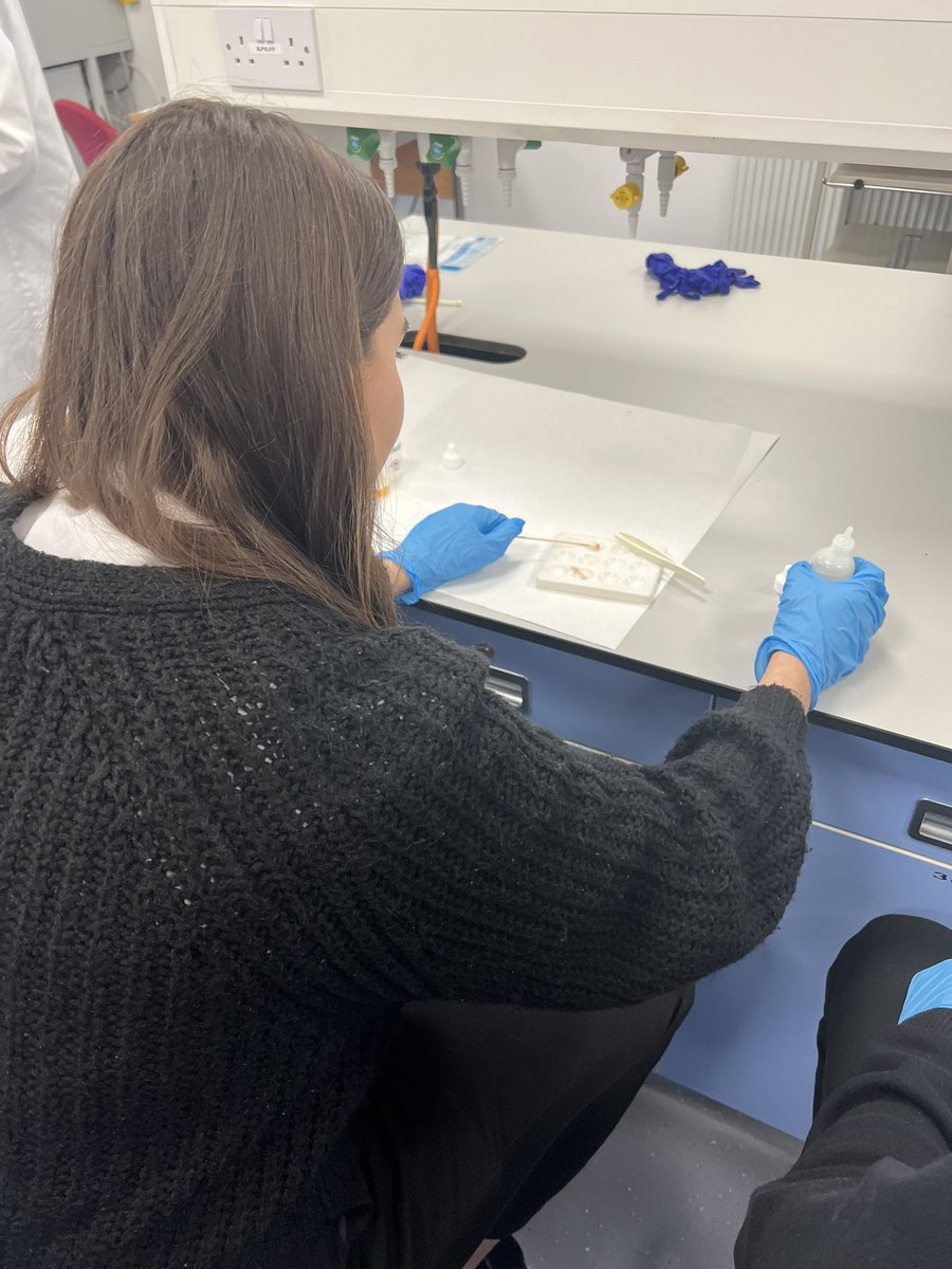 Ms Wright tweet media