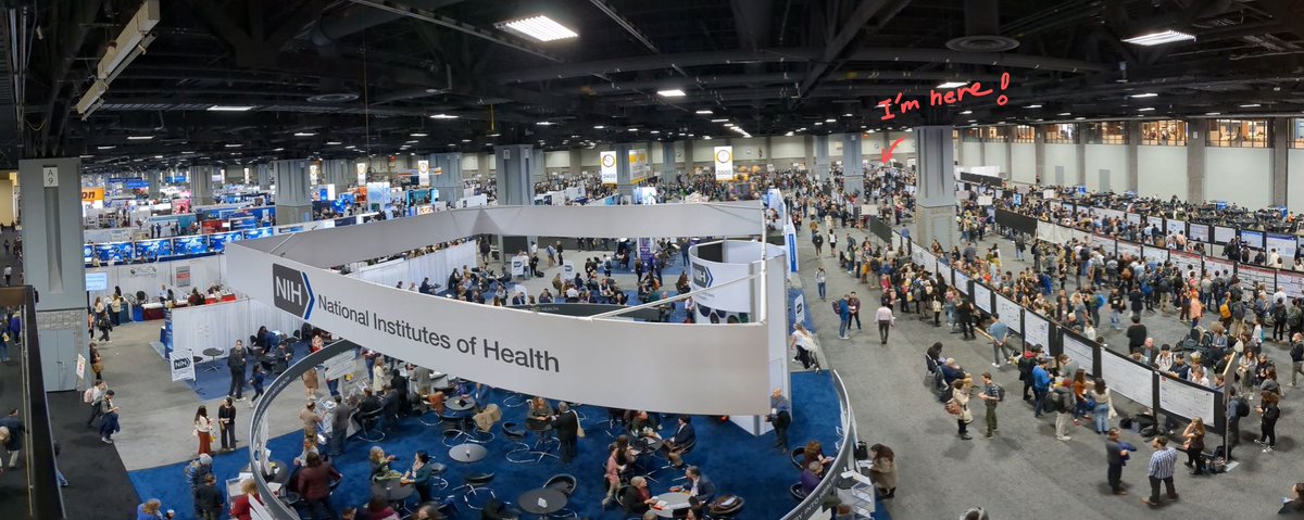 Yue Sun🧬🐀🧠 (@yuesunneuro) on Twitter photo It's the 3rd at #SfN2023! I am ready to present my work about motor learning and transcriptome regulation. Please come and chat at WW39. It's the 3rd at #SfN2023! I am ready to present my work about motor learning and transcriptome regulation. Please come and chat at WW39.