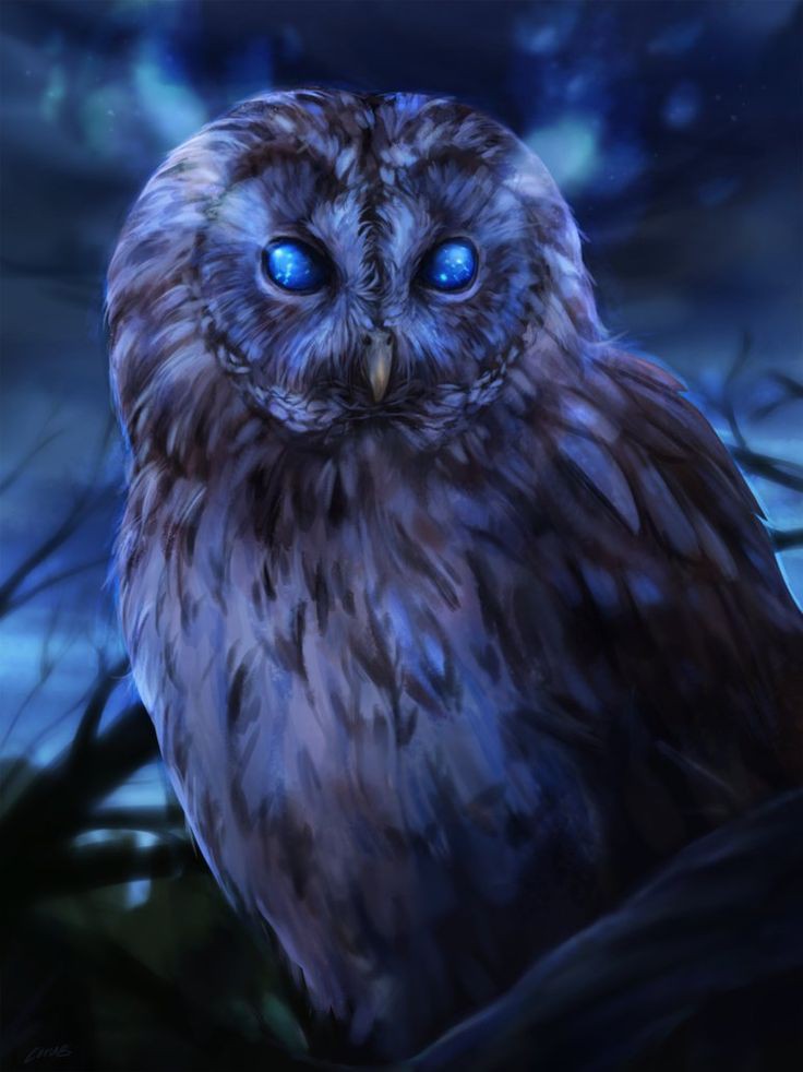 Gothic/Horror/Paranormal November Writing Challenge ✍️🖤🕸👻👿

Day 13 - Warning 

Artwork - Bard Owl by CorvusHound on DeviantArt 

#Novemberwritingchallenge
#WritingCommunity 
#WritingChallenge
#writingprompt 
#gothicwriting
#horrorwriting 
#paranormalwriting
#stories 
#POEMS