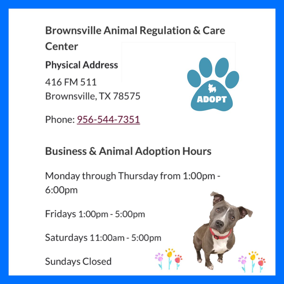 Dubs4Mutts's tweet photo. #k9hour
✨#AdoptDontShop
Save lives! 🙏🏽
#Brownsville #Olmito #Texas✨
⚠️ Shelter is FULL ‼️
Can you foster? #FostersSaveLives
See lots of the 🐶 looking for a forever 🏡♥️ on Facebook. Shelter’s site: https://t.co/XpXmsJV5xw https://t.co/6MR3uzj4zR