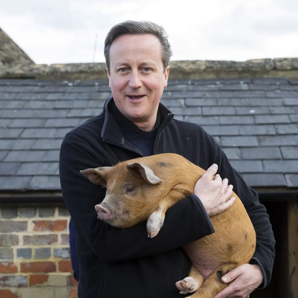 “I believe in public service” says the man who did a runner after Brexit vote. #CameronOut #hypocrite #GeneralElectionN0W