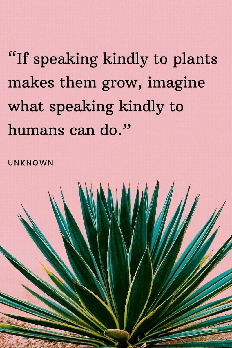 amoots's tweet image. Happy #WorldKindessDay 🦋💕🌤️