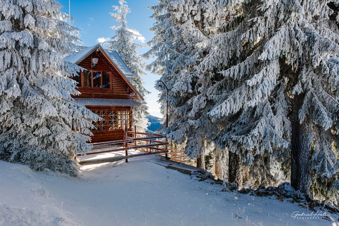 GOHunedoara's tweet photo. Început de poveste.... ❄️⛄️ ⛷🌞
Munții Parâng, 12 noiembrie 2023.
Foto Gabriel Hotea
...
#parang #muntiiparang #primazapada #avenitiarna #valeajiului #petrosani #viziteazahunedoara #obiectiveturisticehunedoara #hunedoara #judetulhunedoara #gohunedoara #locurifrumoase https://t.co/qH2VDVRWJ1