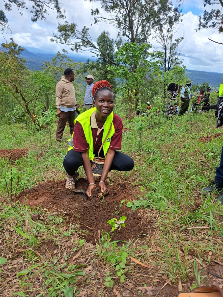 Nafulalucie's tweet photo. Glad to have attended the National tree growing day at Maranga Hills in Embu County with the State Department for Industry,Scrap Metal Council, County officials, politicians and the community. 
#NationalTreeGrowingDay https://t.co/cpTxFJTUcf