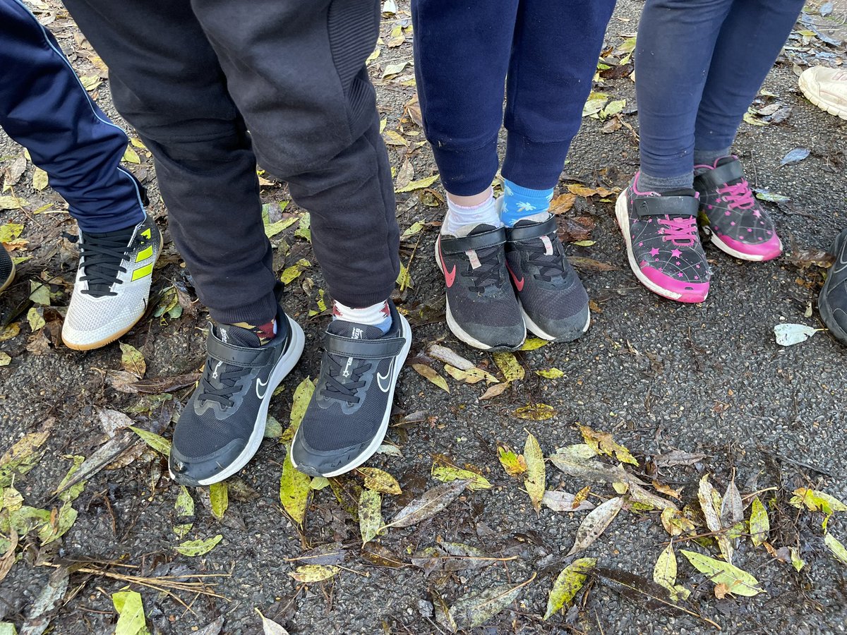 Tinkerbell tweet media