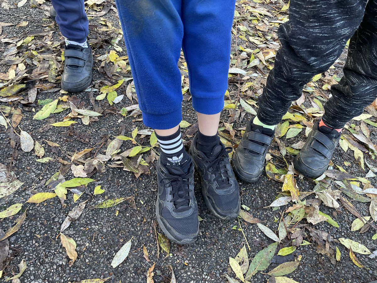 Tinkerbell tweet media