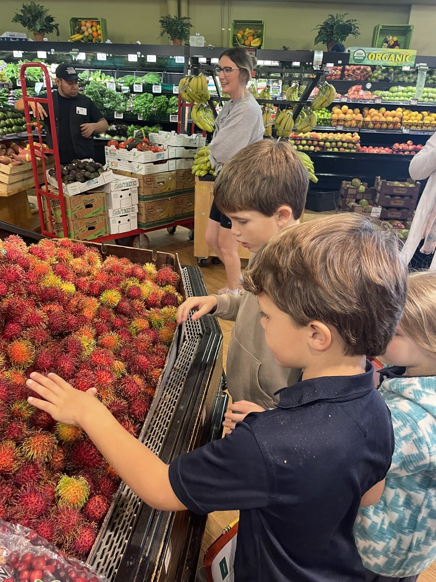 LcatanoLily's tweet photo. Farmers Market Expedition for G1 #LowerSchool #Spanishclass  fruits, vegetables, colors, forms and shapes, #littlelearnerswithbigideas @TheMVVentures  #MVSchool https://t.co/NfziFET4YU