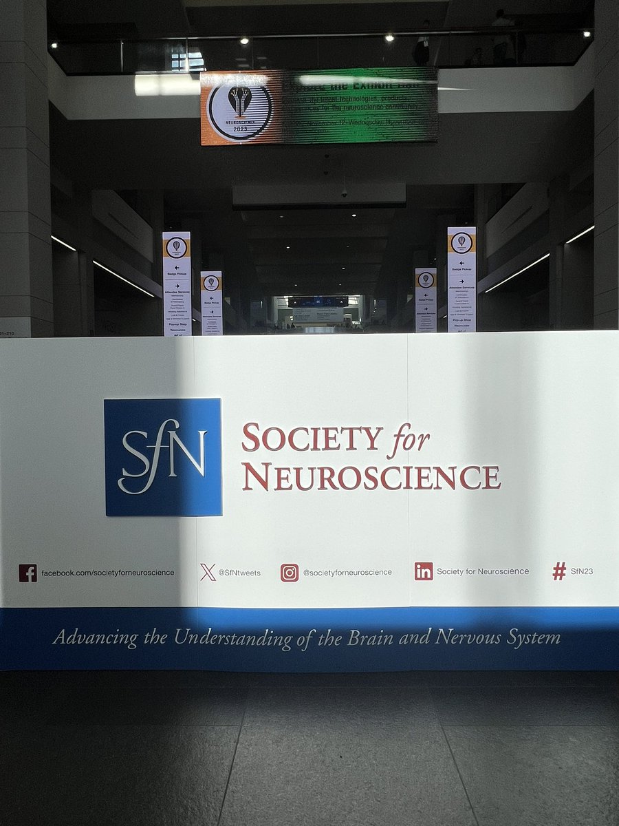 A serene moment in the midst of so much exciting science! #SfN23 🧠😌