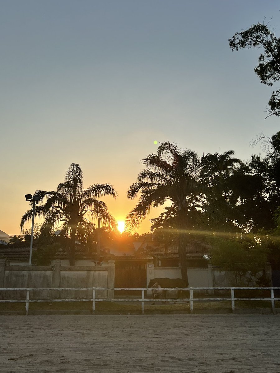 CSVET's tweet image. Ótima semana a todos.