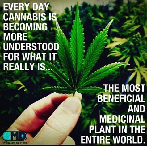 We're getting there, still bunch of folks brainwashed. #freetheplant #normal
#Mmemberville #cannabisculture 
#medicinalherbs #weedsmokers