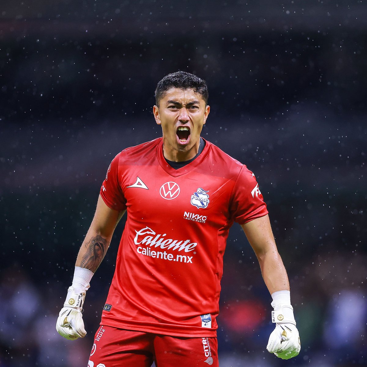 dataref_mx's tweet photo. 🧤 Jesús Rodríguez finalizó la Fase Regular del Apertura 2023 como el portero con más paradas (67).

🎽 Puebla clasificó a la Liguilla en sexto lugar y se medirá ante Tigres en esa instancia. https://t.co/8SGCn6Cuny