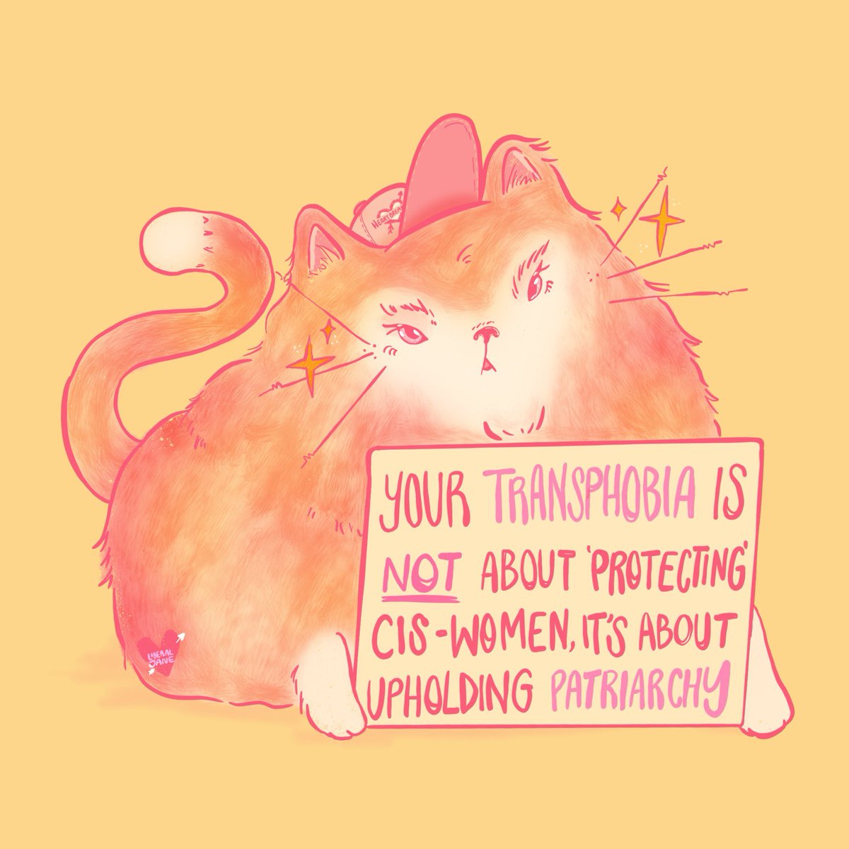 liberaljanee's tweet image. #TransAwarenessWeek