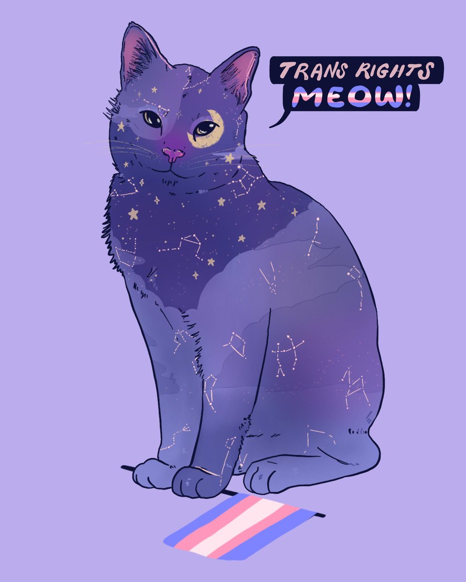 trans rights meow! 🏳️‍⚧️

#TransAwarenessWeek