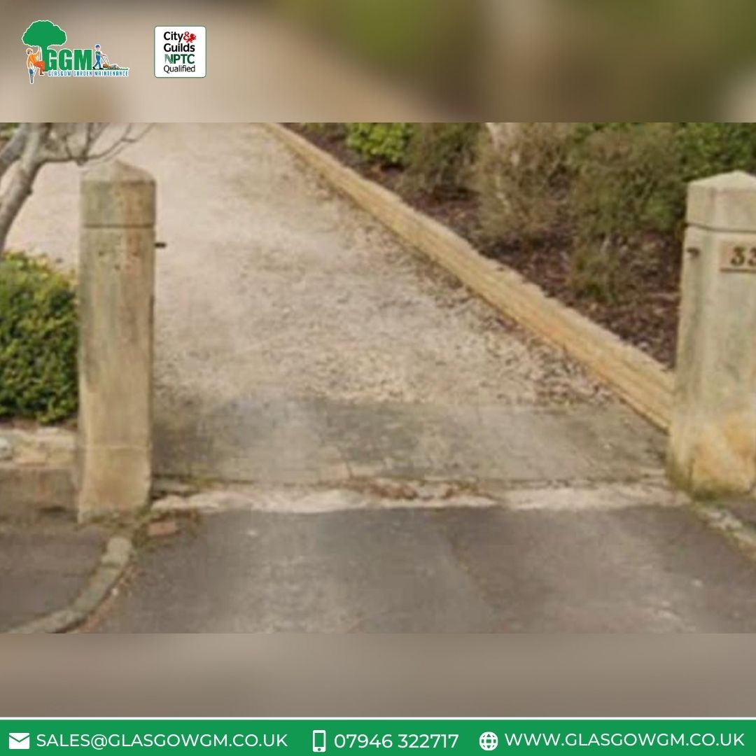 GGMArborists's tweet image. 🌿🔧 Small tweaks, big leaps! We've just spiced up an entrance with sleek glass banisters and a driveway with a neat landing strip. See how a few changes can make a garden go from simple to stunning! 🏡✨

#GardenGlowUp #MakeoverMagic #GGMLandscaping