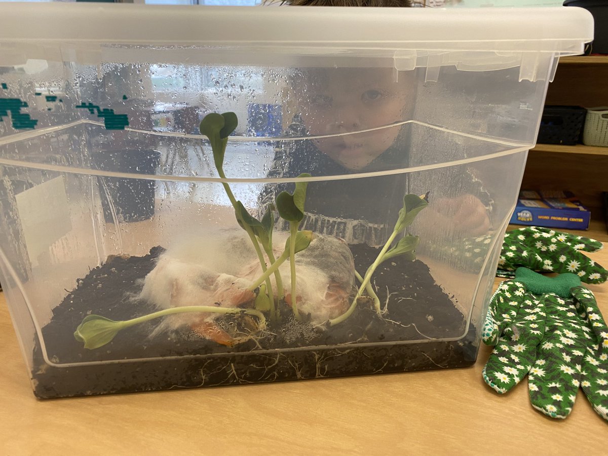 Greely E.S. tweet media