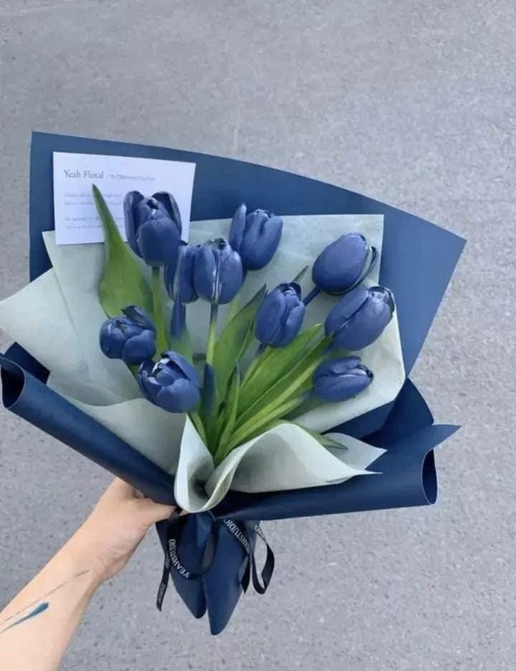 blue tulips