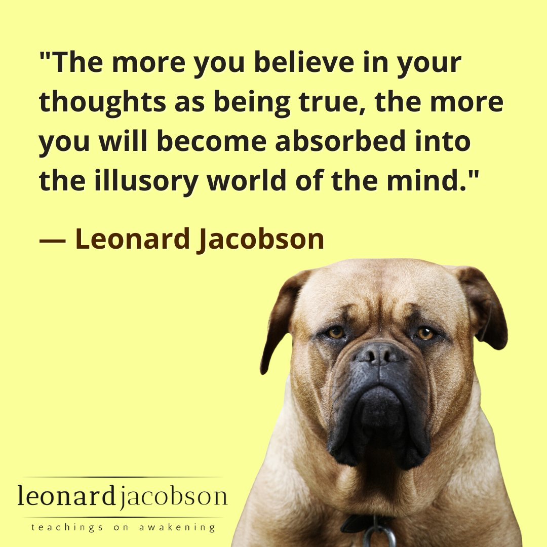 LeonardJacobson's tweet photo. "The more you believe in your thoughts as being true, the more you will become absorbed into the illusory world of the mind."
Discover more at https://t.co/9hYmUUkpFG
#thinking #nonduality #awakeing #oneness
#themind #quoteoftheday #meditation https://t.co/gQuAmkP01c