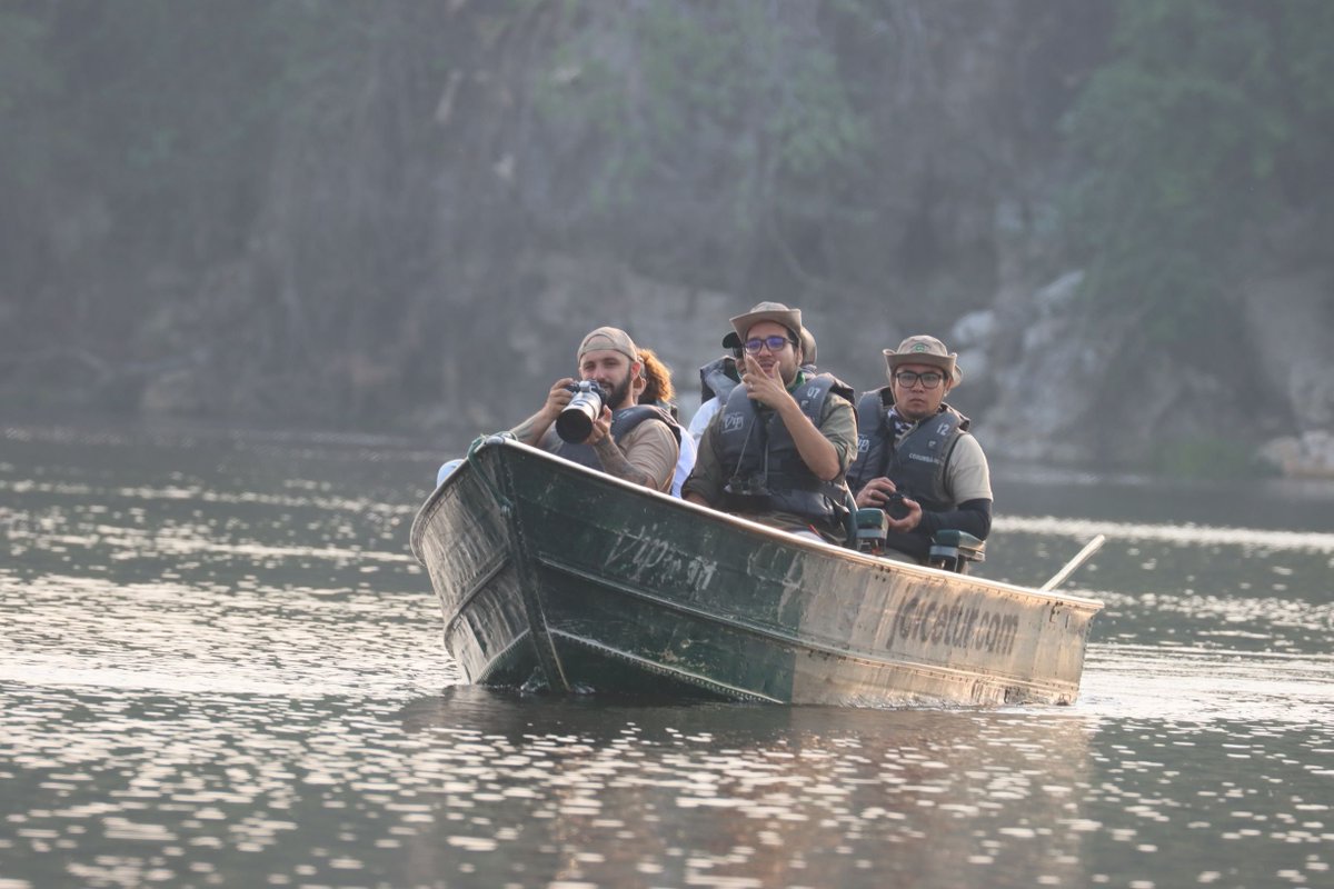 Mato Grosso do Sul tweet media