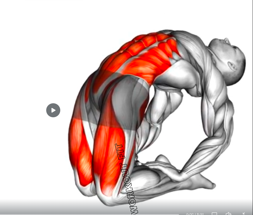 WORKOUTFOREVE's tweet photo. #Stretching 
#Stretch 
#Star Your Day Right with Full Body Morning Stretching https://t.co/NCzTdaD6Ru via @YouTube https://t.co/nQHqiCcYXV