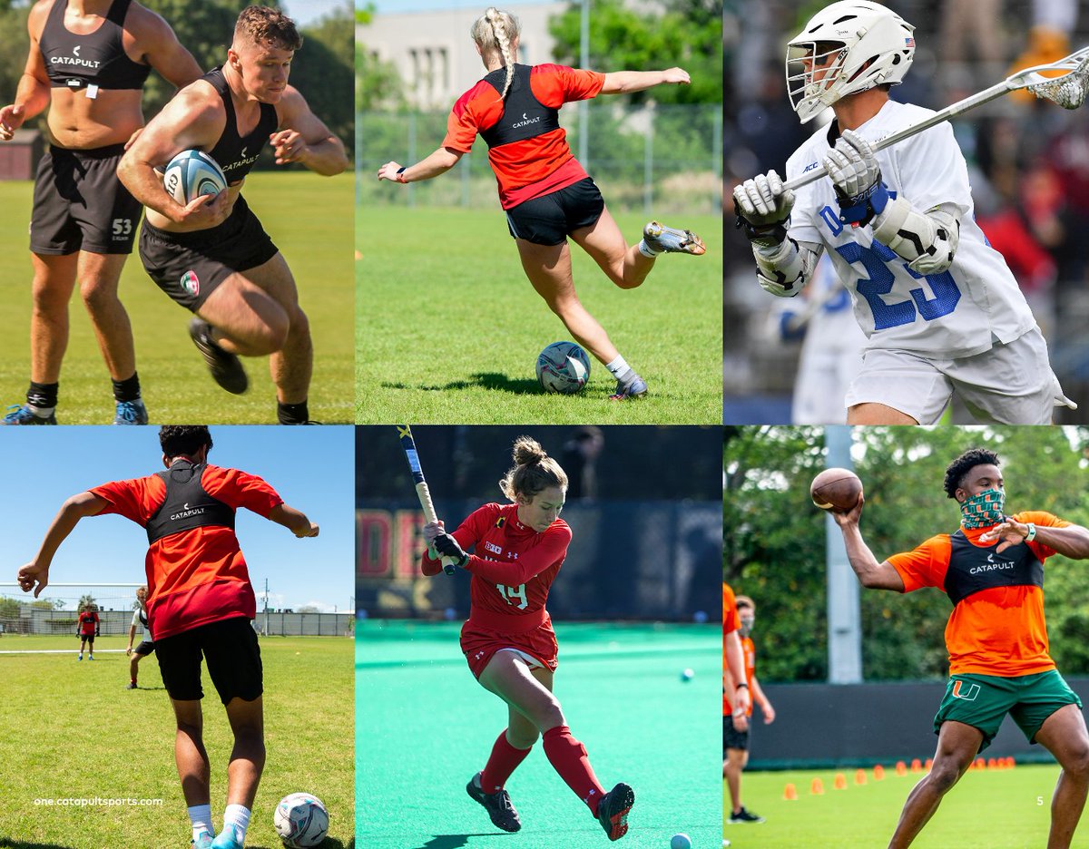 Sam Rowden | Catapult Sports tweet media