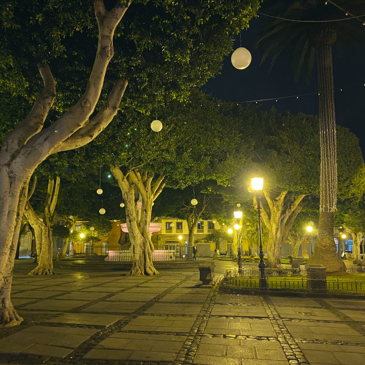 Amazing Tenerife adventures 🏝 Garachico, Playa de Las Teresitas, Las Canadas del Teide, La Laguna
