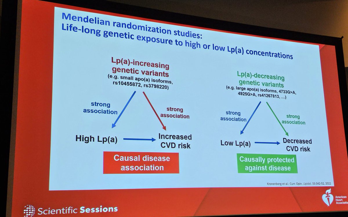 Sergio Kaiser MD, PhD, FACC, FESC 🇧🇷🇮🇱🇷🇴🇺🇦 (@pabeda1) on Twitter photo Florian Kronenberg at #AHA23: Number of kringle IV-2 repeats doesn't tell the whole story, there are Lp(a) lowering SNP's that, when combined, can counterbalance ⬆️ Lp(a) levels from ⬇️ number of KringleIV-2 repeats. Quite complex, isn't it? <a href="/drpablocorral/">Pablo Corral MD</a> <a href="/Drlipid/">Thomas Dayspring</a> <a href="/marciominame/">Marcio Miname</a> Florian Kronenberg at #AHA23: Number of kringle IV-2 repeats doesn't tell the whole story, there are Lp(a) lowering SNP's that, when combined, can counterbalance ⬆️ Lp(a) levels from ⬇️ number of KringleIV-2 repeats. Quite complex, isn't it? <a href="/drpablocorral/">Pablo Corral MD</a> <a href="/Drlipid/">Thomas Dayspring</a> <a href="/marciominame/">Marcio Miname</a>