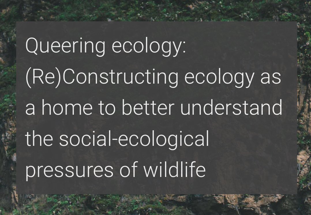 🚨 updated preprint! 🚨 in this piece, I stitch together queer theory together to consider how (oppressive) societal systems can shape the social & ecological niche of (urban) wildlife. hopefully coming to a journal near you soon-ish :) check it out! bit.ly/qeco