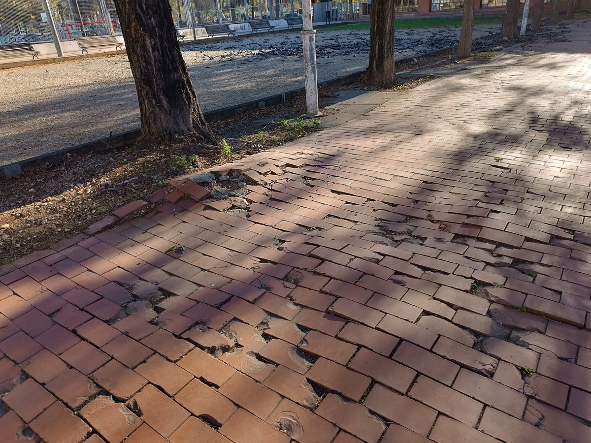 millorem Mollet tweet media