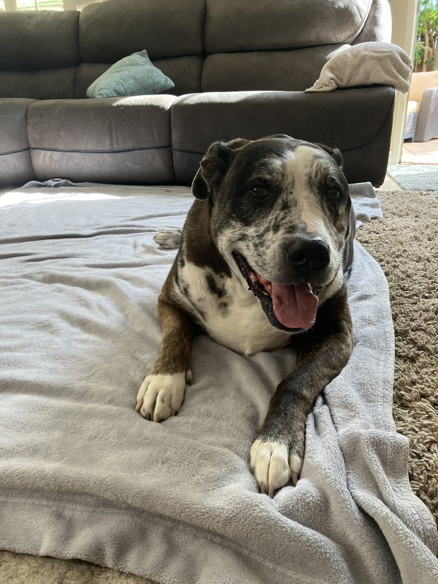 Wick 🥃 tweet media