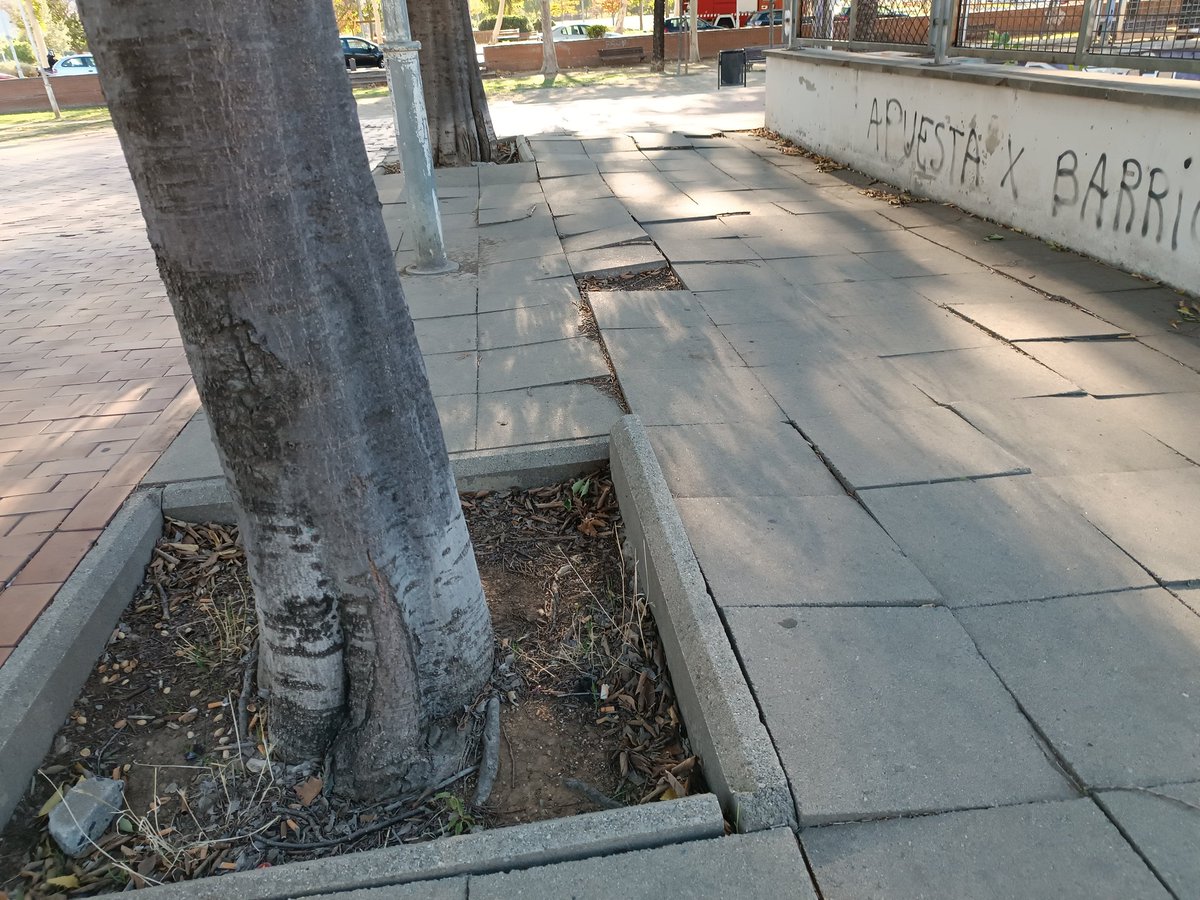 millorem Mollet tweet media