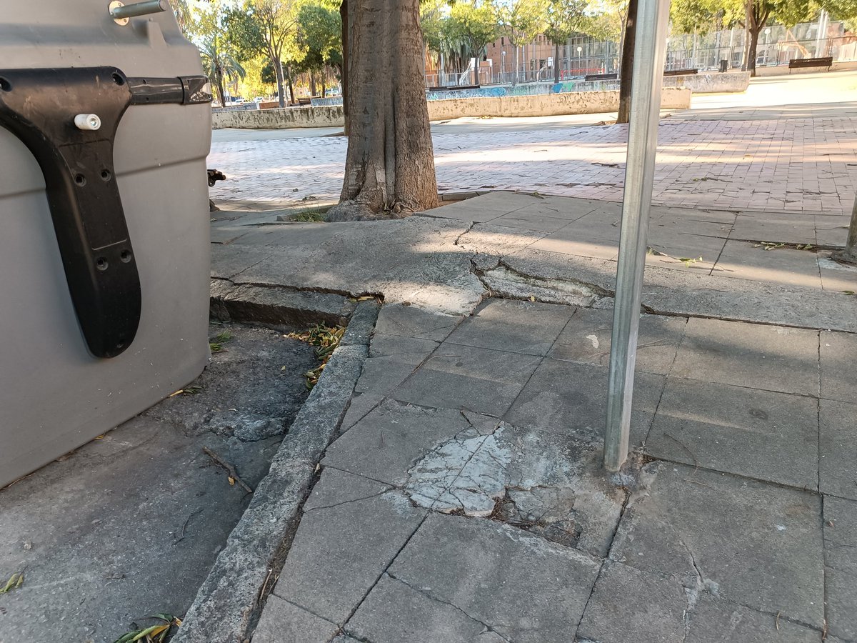 millorem Mollet tweet media