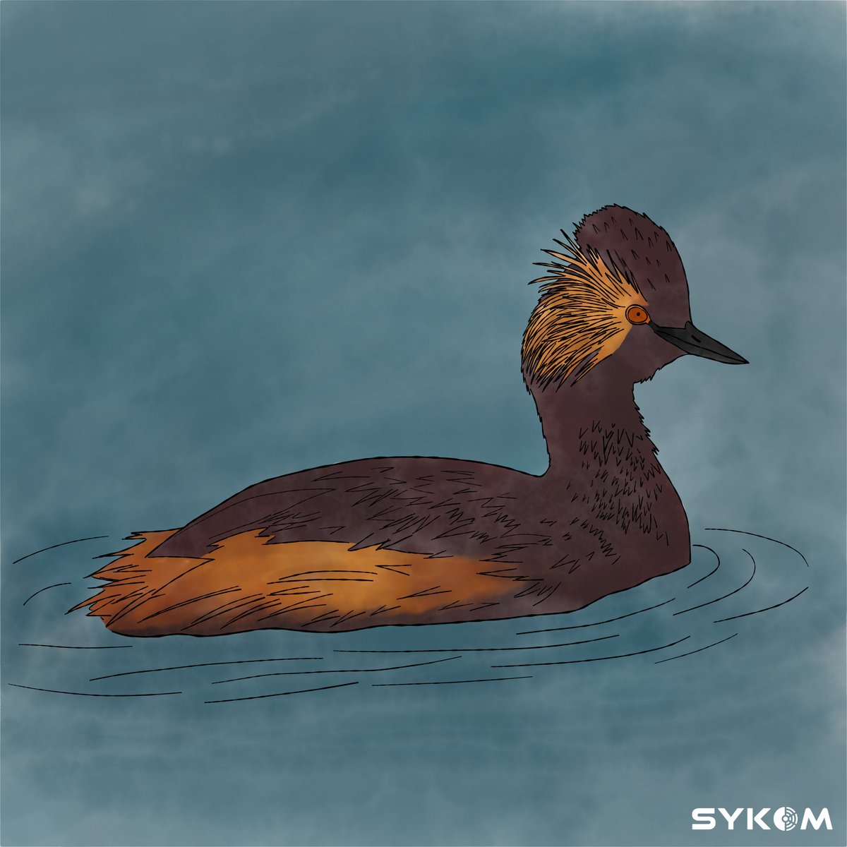 The Eared Grebe has the record for the longest flightless downtime of any bird that can fly. When they get to their migration destination they double in weight and shrink their flight muscles so they physically can not fly. When they need to migrate again, the process reverses.