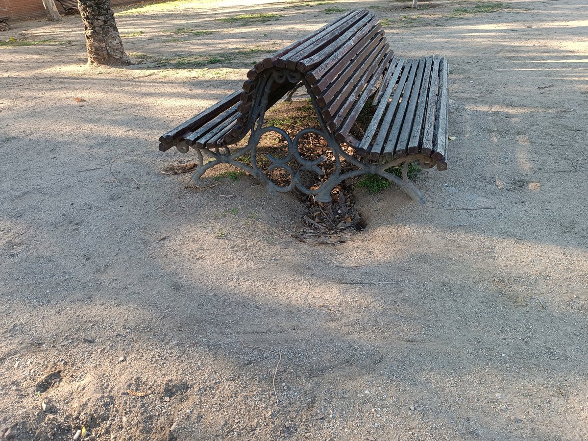 millorem Mollet tweet media