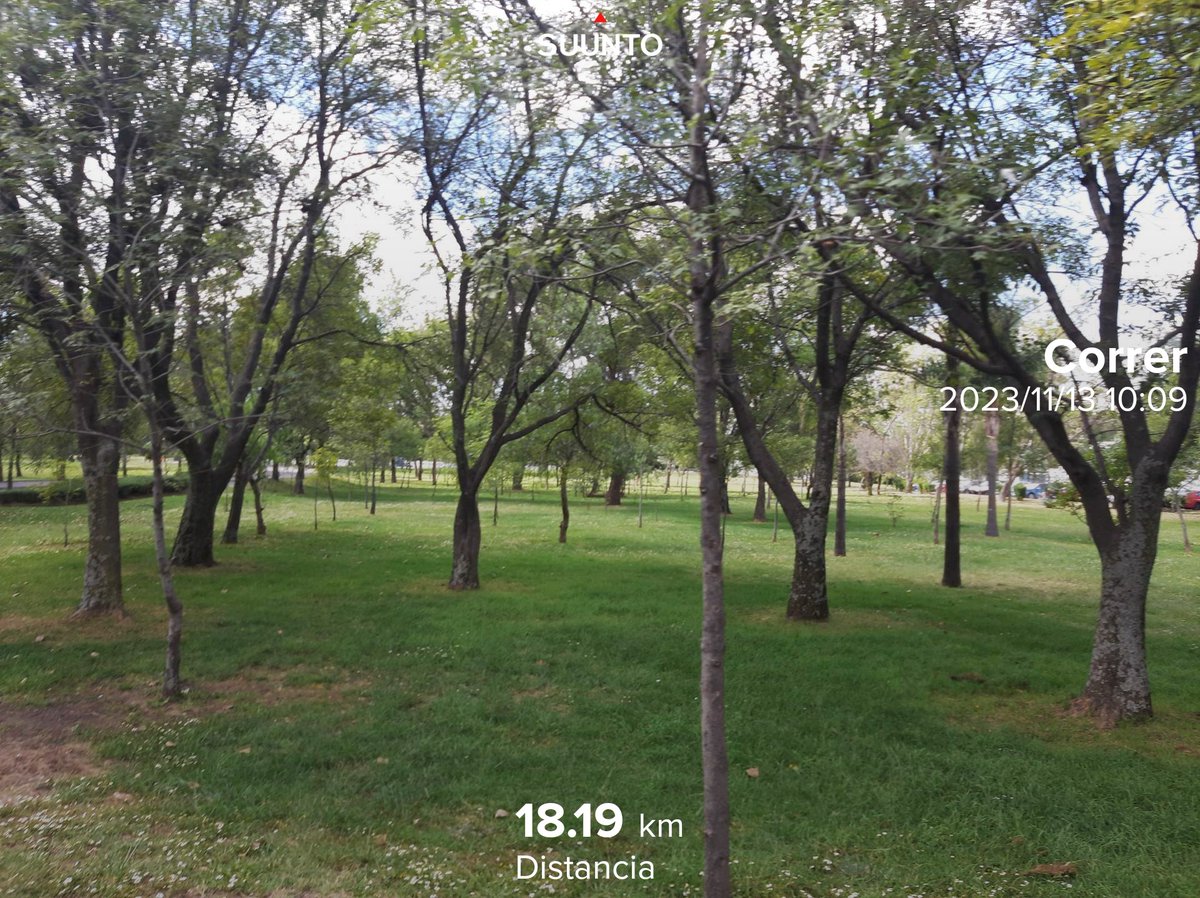 gvallejodz's tweet image. #FelizLunes
🙄
#Reto2023Kms #Reto50K 
#SumandoKmx #MeEncantaCorrer
#CorrerSana #ComuniRunners
#TemploRunner #YoElegíCorrer 
#CorrerMeHaEnseñado 
#EntreRunners  💯🏃🏽‍♀️🏃‍♀️🏃🏽‍♀️🏃‍♀️