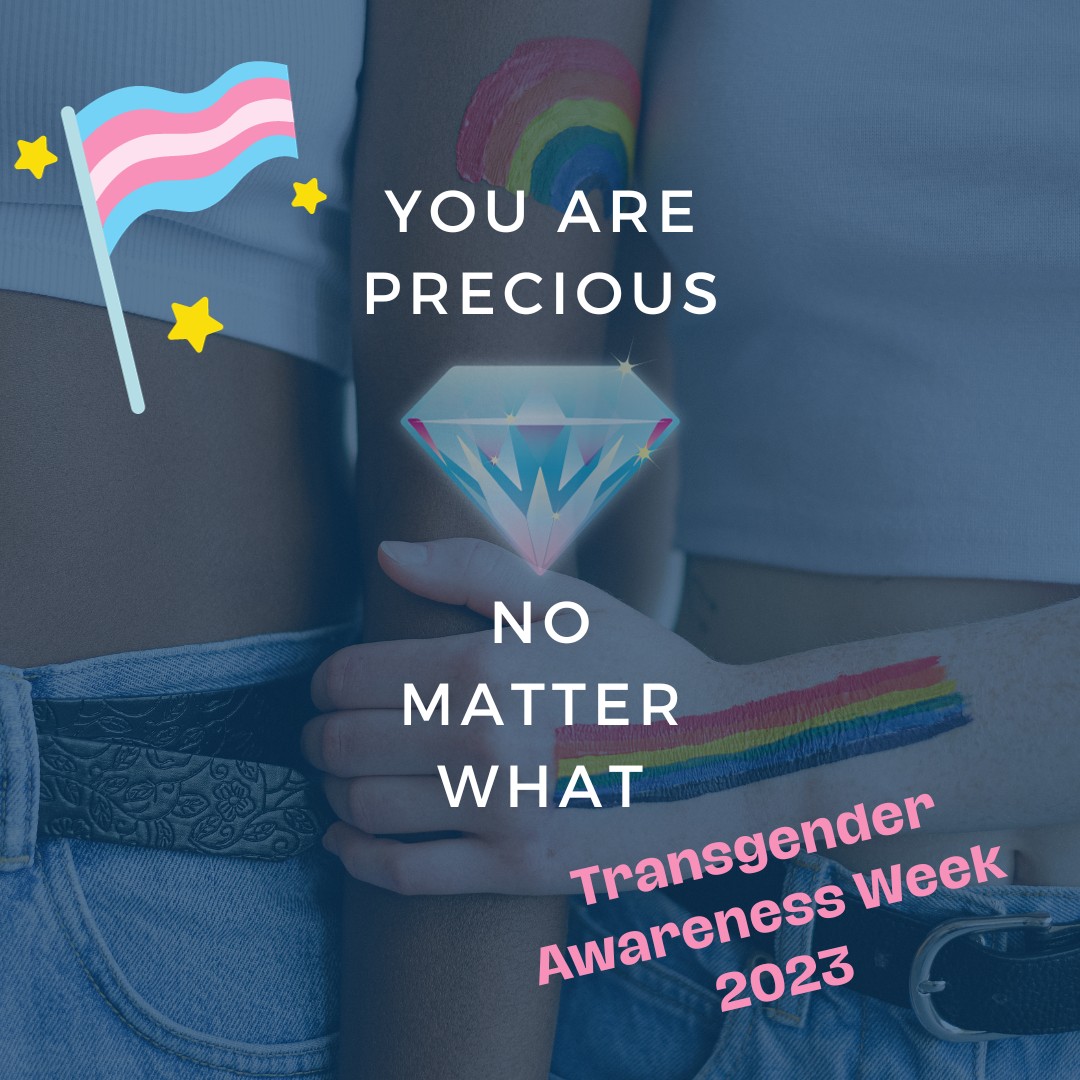 SJSUiSchool's tweet image. Trans rights are human rights, year-round. As part of the #LibrariesRespond initiative, the @ALALibrary created a guide on trans-inclusive practices for libraries, which you can find here: 

ala.org/advocacy/diver…