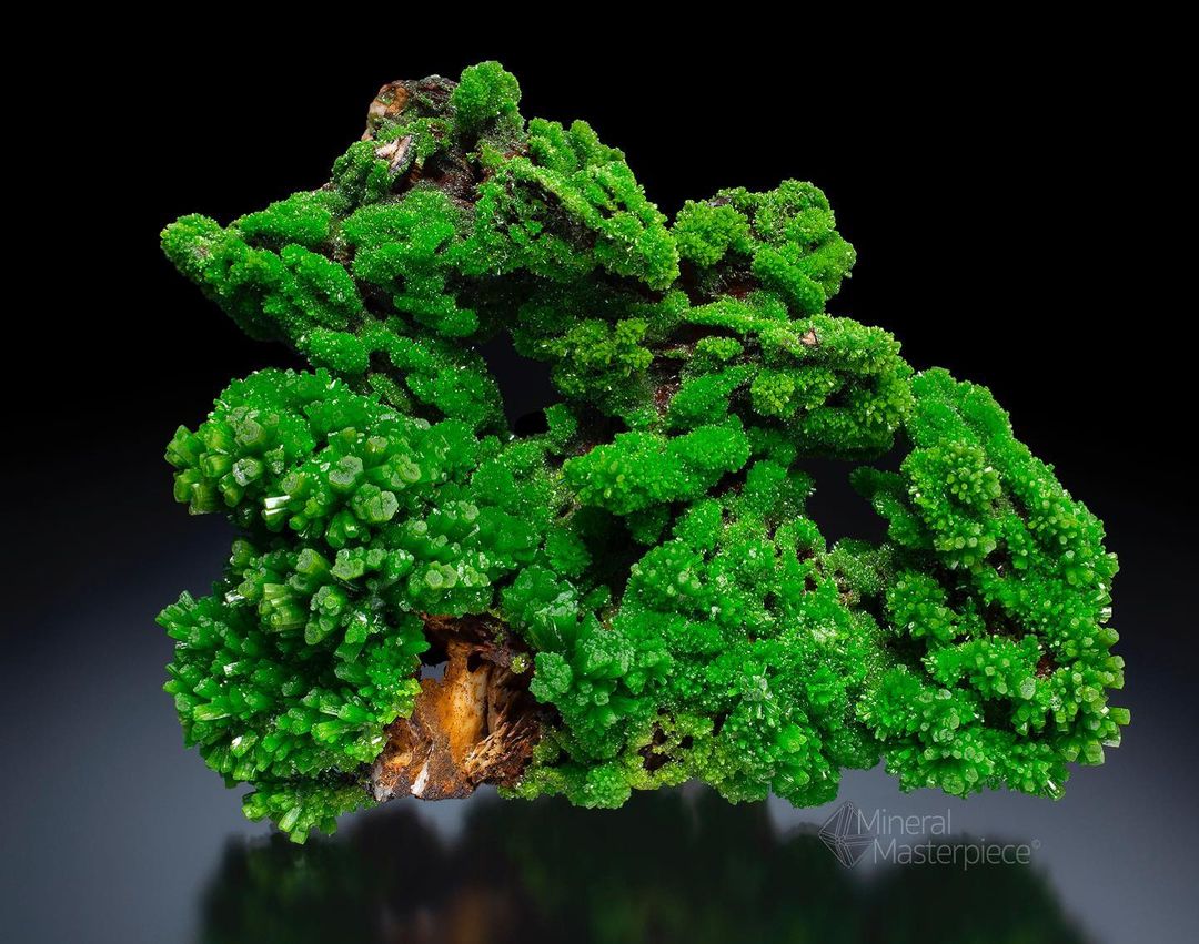 GeologyTime's tweet photo. Natural Pyromorphite crystals -from  Les Farges, France

Photo: Mineral Masterpiece
Thomas Spann https://t.co/zX3fukSdY7