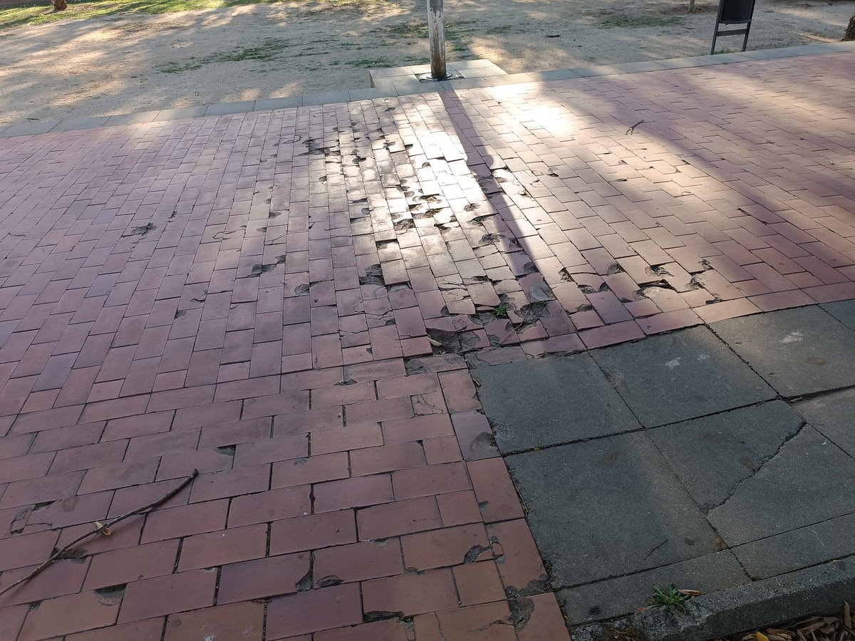 millorem Mollet tweet media