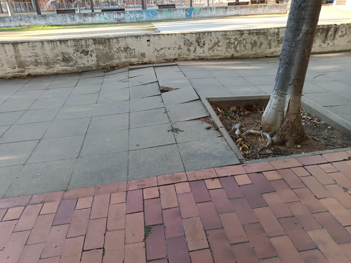 millorem Mollet tweet media