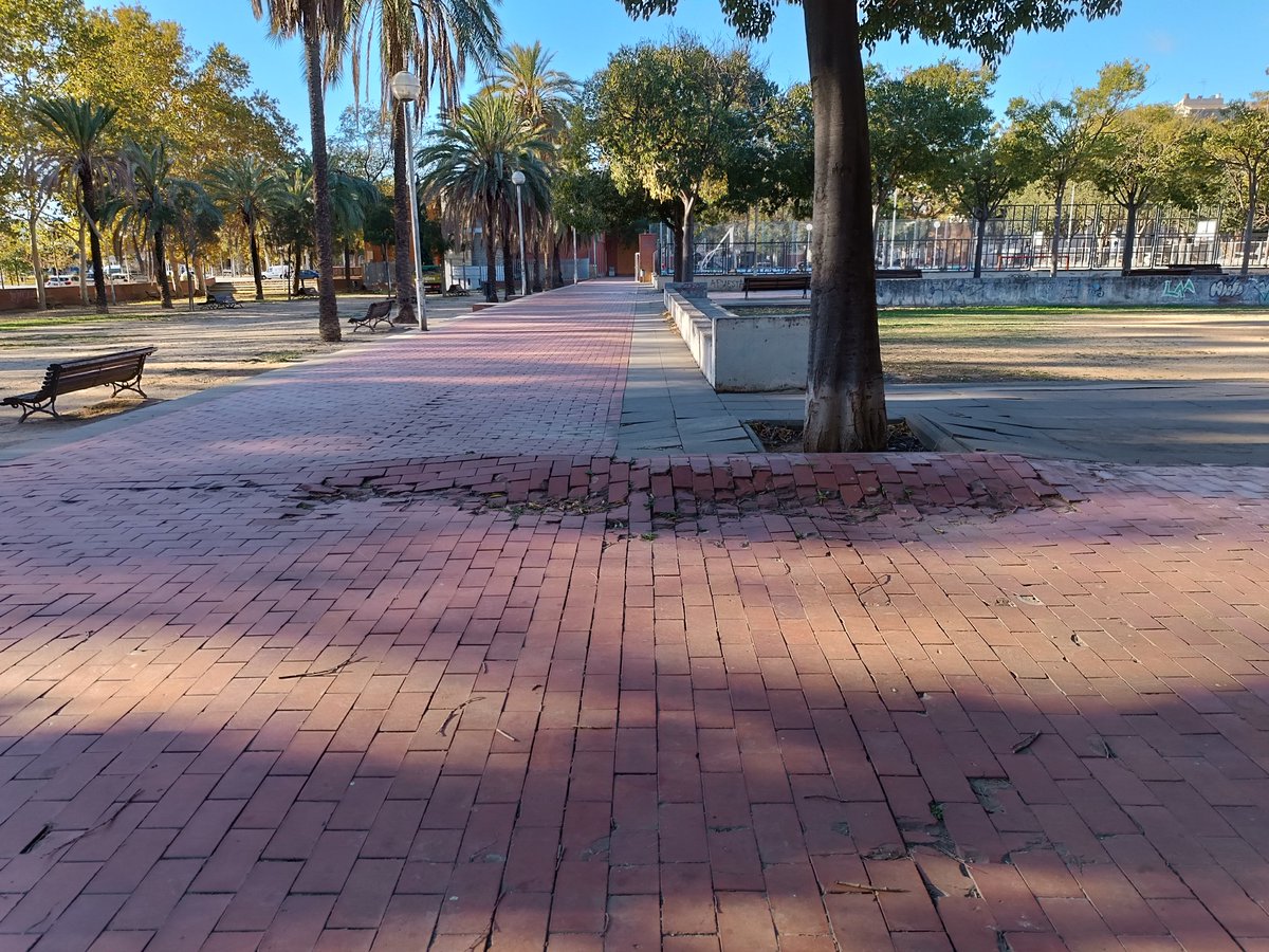 millorem Mollet tweet media