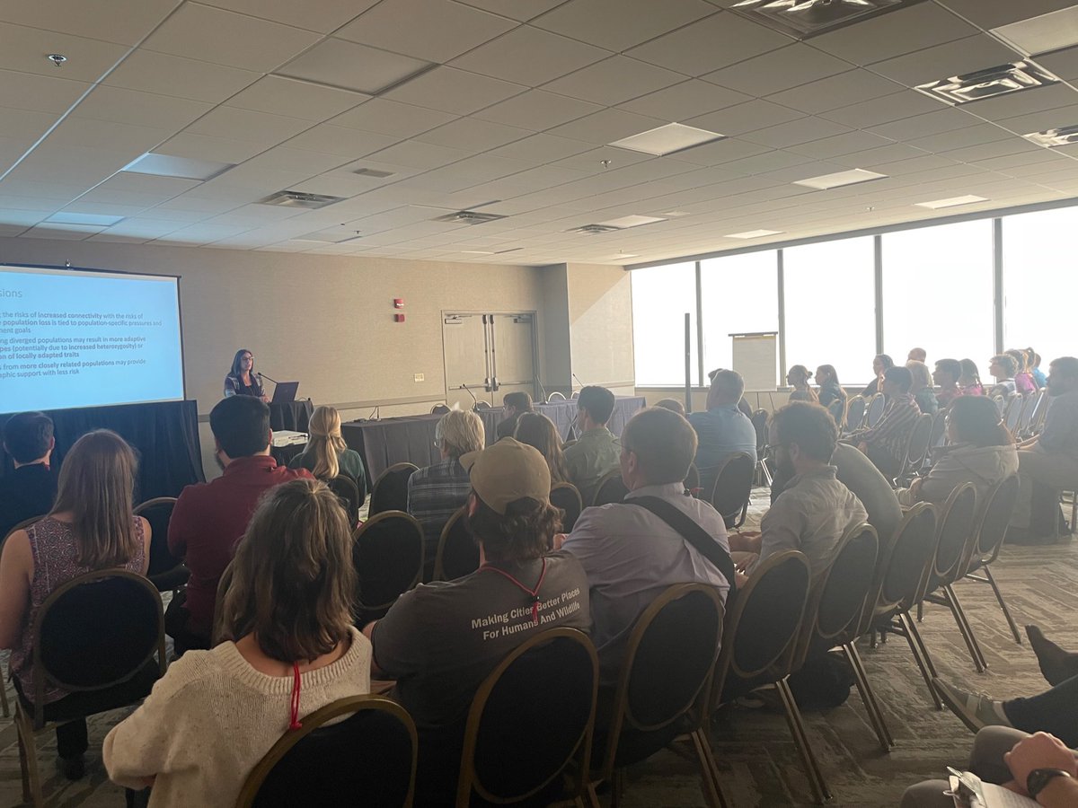 Last week, <a href="/GinaLamka/">Gina Lamka</a> and <a href="/miranduhh26/">Andrea Miranda</a> presented their research at the <a href="/wildlifesociety/">The Wildlife Society</a> annual conference in Louisville, Kentucky. They did an amazing job presenting their work on diverse subjects such as eco-evolutionary dynamics and caribou population genetics! 🧬🙌🏽