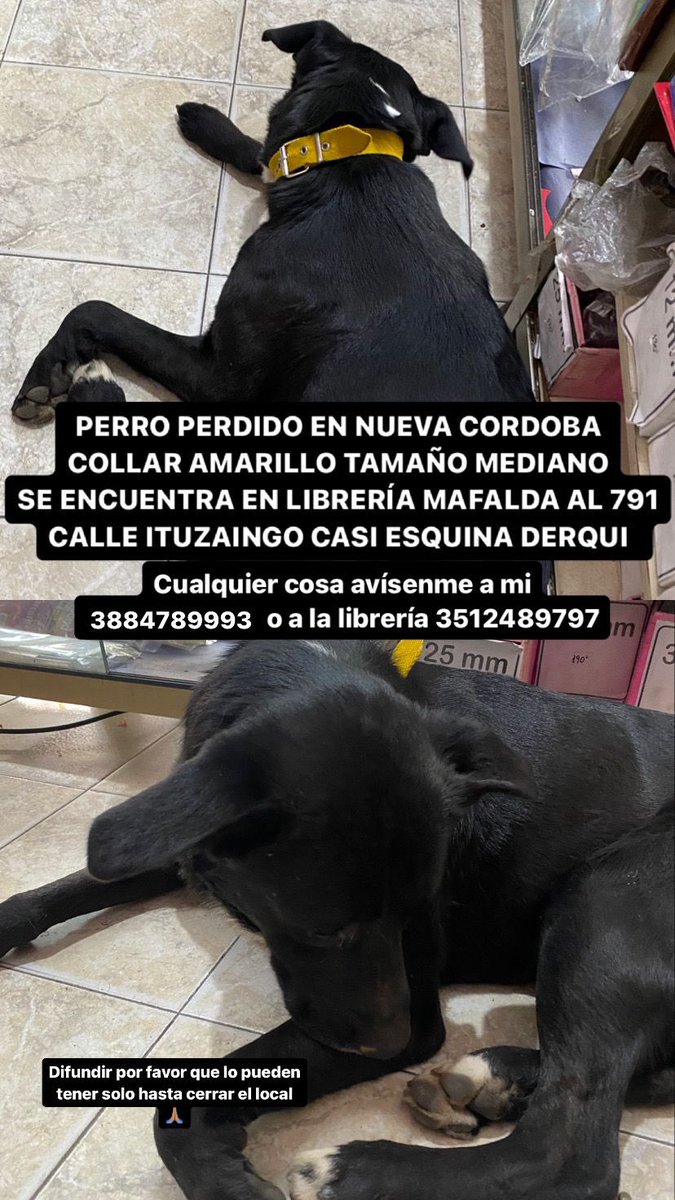 sofiadevico's tweet photo. @VivireNuevaCba https://t.co/v305eeOBBp