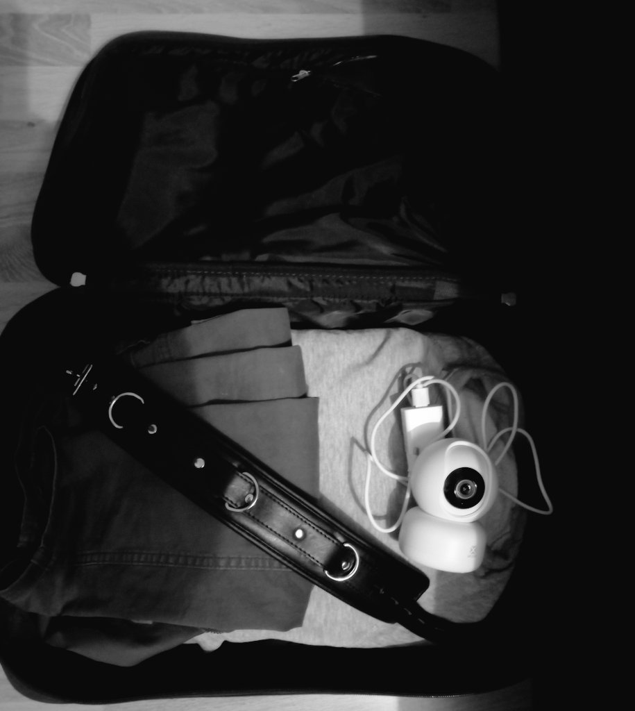 Auch auf Dienstreise, ist die <a href="/HerrschaftBB/">HerrschaftB&B</a> mit dabei! Um auch ja nicht zu vergessen, wessen Eigentum ich bin 🧎🏼