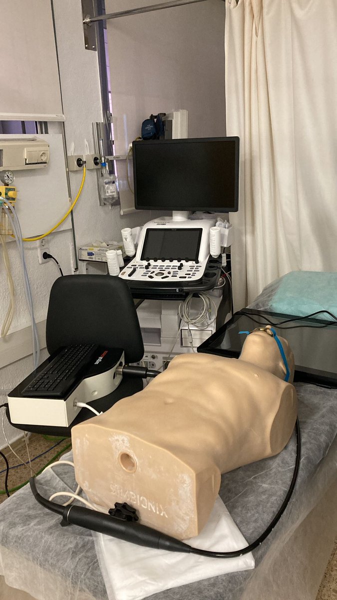 José F. Rodríguez Palomares tweet media