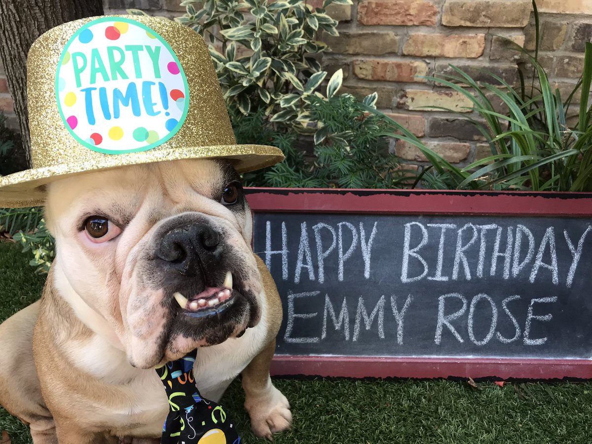 Happy 9th Birthday to my beautiful friend Emmy Rose <a href="/gloveritchey/">EmmyRose (G💗's sis) & LunaBean</a> <a href="/keithritchey/">keith ritchey</a> 🥳🥳🥳🎂🎂🎂🎁🎁🎁