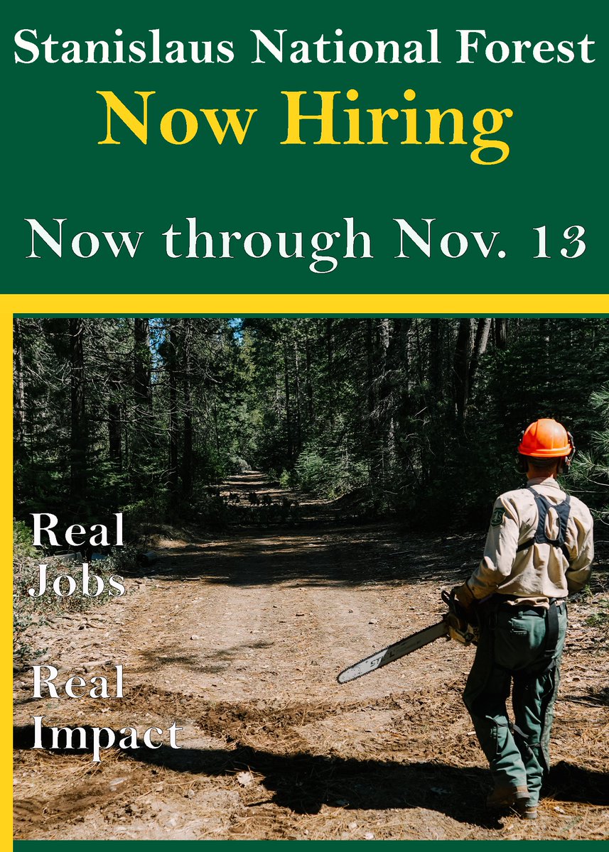 Last day to apply!  
Looking for a temp position? 2024 Learn more: tinyurl.com/45w5tfrn Physical Science Techs, Archeology, Visitor Services, Recreation and more!
10/26/2023-11/13/2023
Locations vary Apply through USAjobs.gov